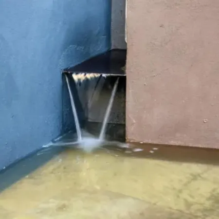 Fuentes De Leon